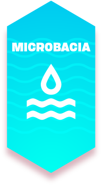 A Microbacia